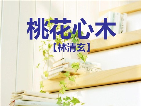 《桃花心木》PPT课件5