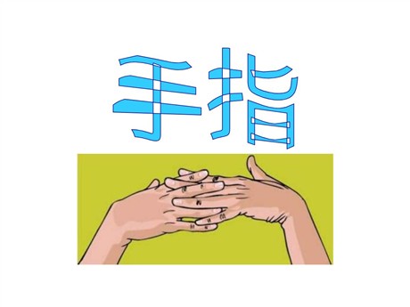 《手指》PPT课件
