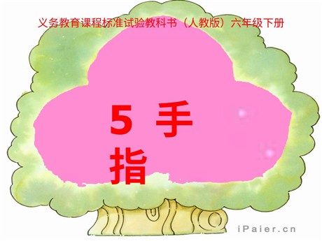 《手指》PPT课件4