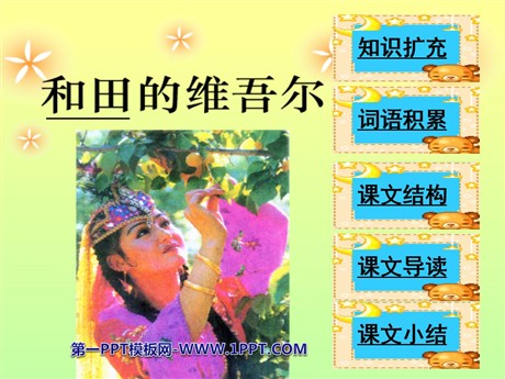 《和田的维吾尔》PPT课件3