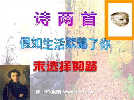 《假如生活欺骗了你》《未选择的路》PPT课件6