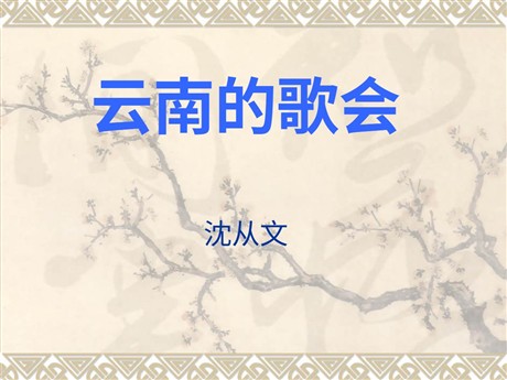 《云南的歌会》PPT课件2