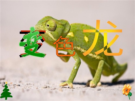 《变色龙》PPT课件下载3
