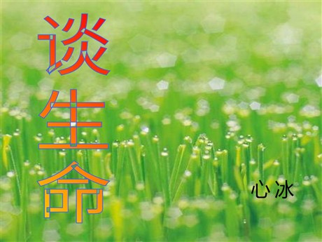《谈生命》PPT课件