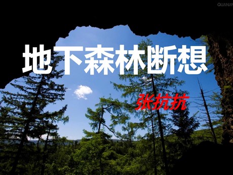 《地下森林断想》PPT课件