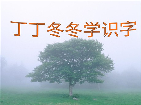 《丁丁冬冬学识字》PPT课件3