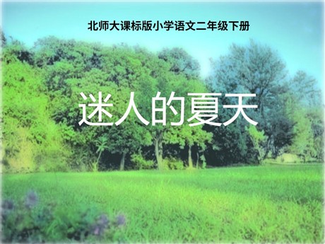 《迷人的夏天》PPT课件