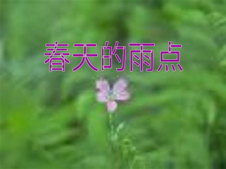 《春天的雨点》PPT课件2