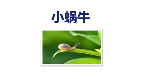 《小蜗牛》PPT免费课件下载