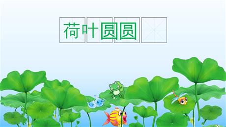 《荷叶圆圆》PPT精品课件下载