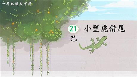 《小壁虎借尾巴》PPT免费课件下载