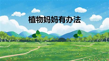 《植物妈妈有办法》PPT免费教学课件下载