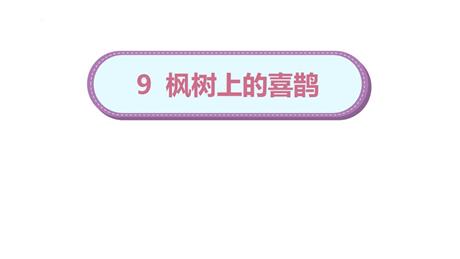 《枫树上的喜鹊》PPT课文课件下载