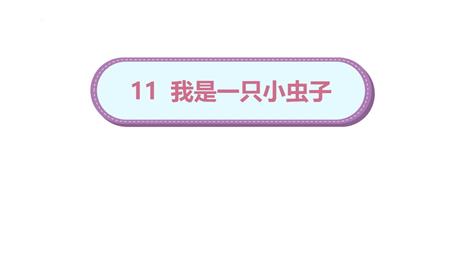 《我是一只小虫子》PPT优秀课件下载