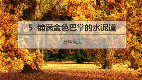《铺满金色巴掌的水泥道》PPT免费教学课件