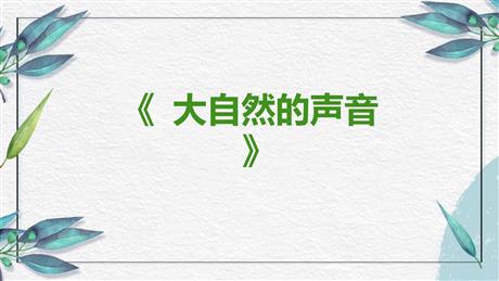 《大自然的声音》PPT精品教学课件