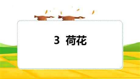 《荷花》PPT优秀课件下载