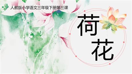 《荷花》PPT免费教学课件