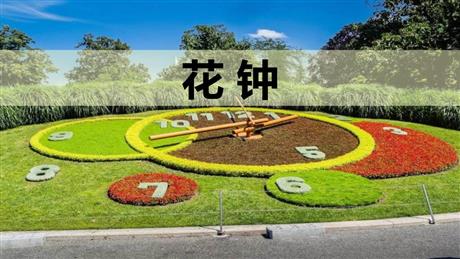 《花钟》PPT优秀课件下载