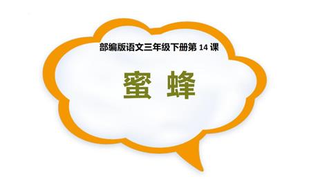 《蜜蜂》PPT说课课件