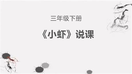 《小虾》PPT说课课件