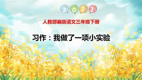 《我做了一项小实验》PPT优质课件下载