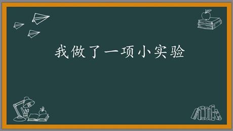 《我做了一项小实验》PPT免费课件下载