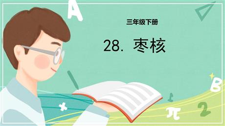 《枣核》PPT优秀课件下载