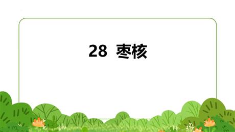 《枣核》PPT免费课件下载