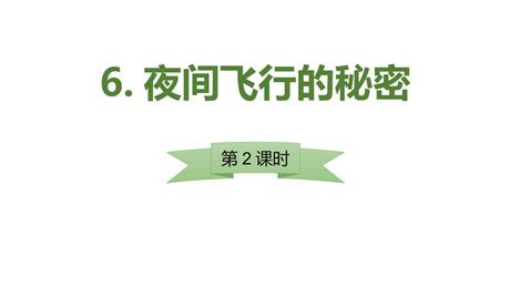 《夜间飞行的秘密》PPT课件(第2课时)