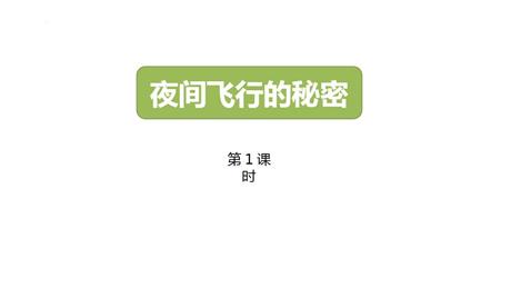 《夜间飞行的秘密》PPT下载(第1课时)