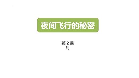 《夜间飞行的秘密》PPT下载(第2课时)
