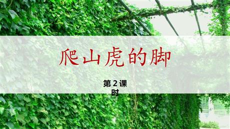 《爬山虎的脚》PPT精品课件(第2课时)