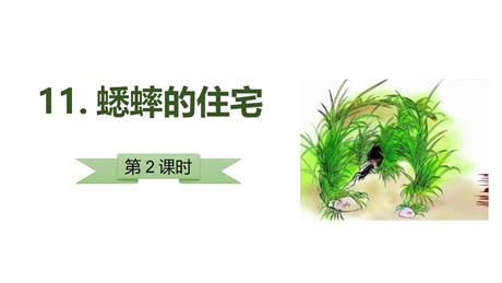 《蟋蟀的住宅》PPT教学课件(第2课时)