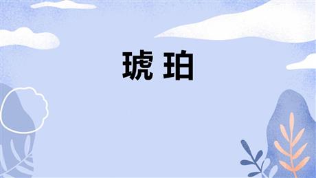 《琥珀》PPT免费课件下载
