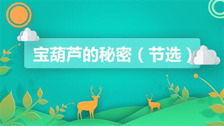 《宝葫芦的秘密》PPT精品课件下载