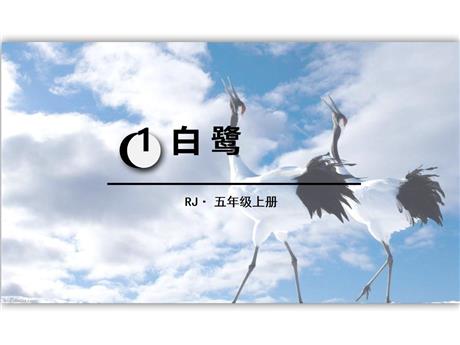 《白鹭》PPT优秀课件下载