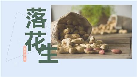 《落花生》PPT免费精品课件