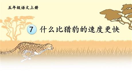 《什么比猎豹的速度更快》PPT免费课件下载