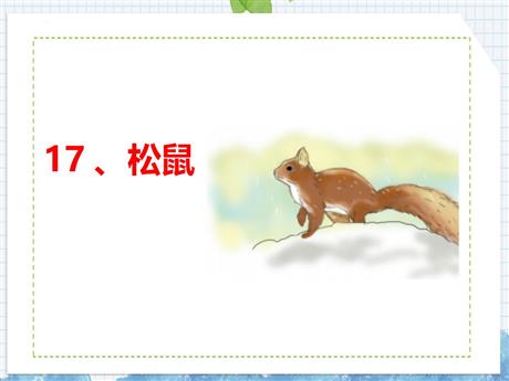 《松鼠》PPT免费优质课件