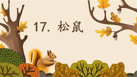 《松鼠》PPT免费优秀课件
