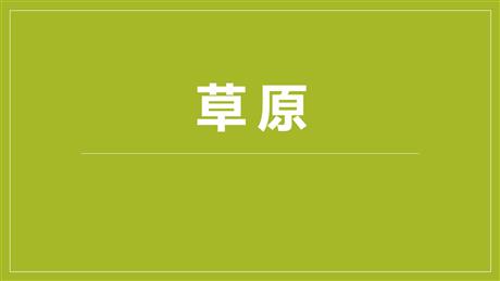 《草原》PPT优秀课件下载
