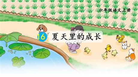 《夏天里的成长》PPT免费课件下载