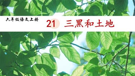 《三黑和土地》PPT优质课件下载