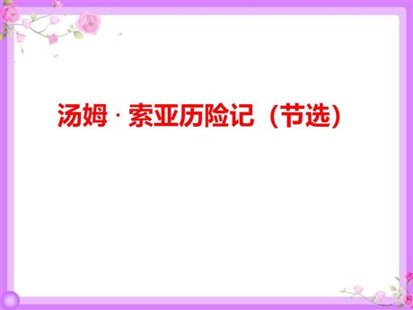 《汤姆·索亚历险记》PPT优秀课件下载