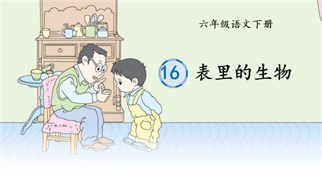 《表里的生物》PPT优质课件