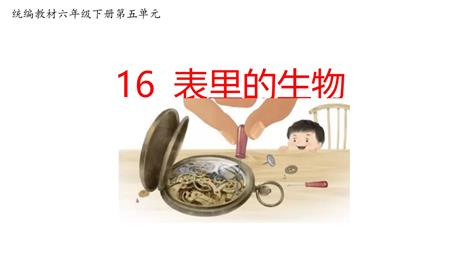 《表里的生物》PPT优质课件下载