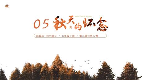 《秋天的怀念》PPT免费教学课件