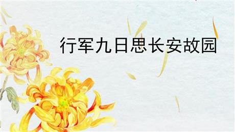 《行军九日思长安故园》课外古诗词诵读PPT免费课件