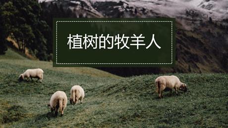 《植树的牧羊人》PPT免费教学课件
